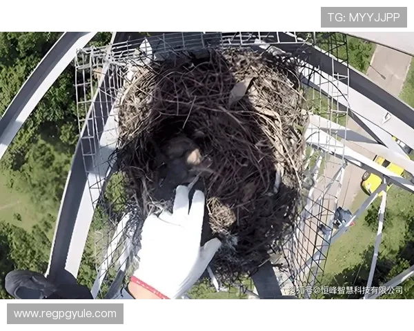 AG视讯百家乐如何结合最新科技打造公平公正的游戏环境,保障每一位玩家的权益 AG视讯百家乐如何结合最新科技打造公平公正的游戏环境,保障每一位玩家的权益